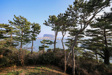 산 정상에서 보는 풍경 제주 서귀포시 성산읍 오조리 식산봉