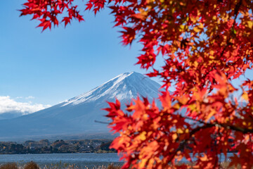 赤色に色づくモミジの紅葉と富士山	
