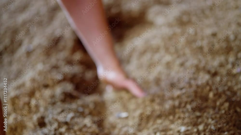 Aufkleber hands holding processed peat showing its texture and quality, slow motion shallow depth of field as 