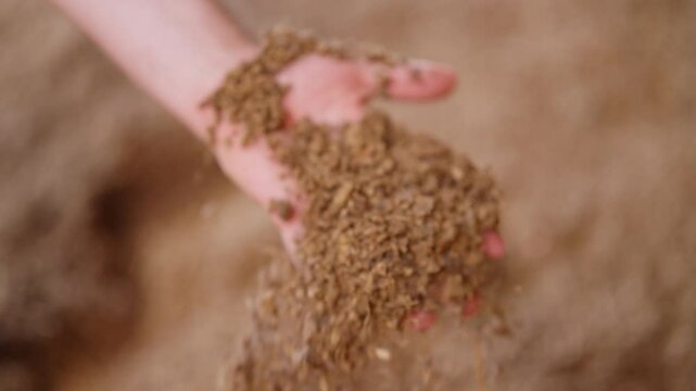 Worker examining processed peat with hands, closeup of texture and quality, slow motion as hands rustle