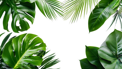 Lush green tropical leaves frame dark background beautifully