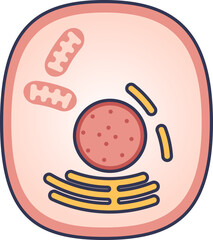 Illustration of a cell with nucleus, mitochondria, and endoplasmic reticulum.