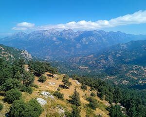 Aerial view of mountain range, hills, and forest.