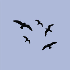 flying seagull flat icon logo