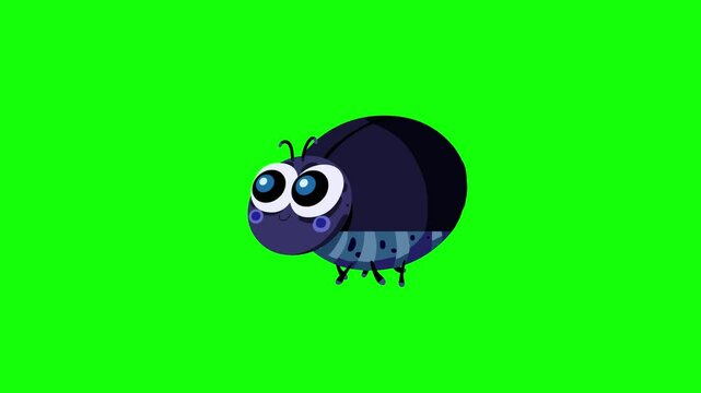Cartoon animation beetle character green screen insect animal walking. Green background good for keying. Seamless loop greenbox.