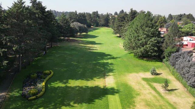 Golf course with a green grassy area and a few trees
