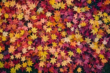 Autumn Maple Leaves Background