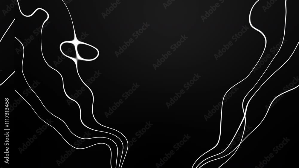 Poster a minimalist animation of delicate white lines flowing and forming abstract patterns against a black
