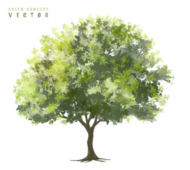  Vector watercolor green  tree or forest side view isolated on white background for landscape and architecture drawing,elements for environment or and garden,Shrub for section