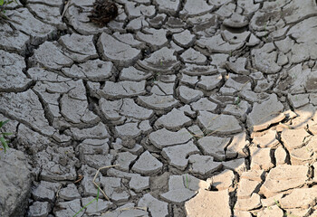 Dehydrated earth with cracks. Dry land. Cracked Ground, Texture.