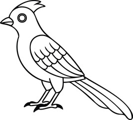 Cuckoo-bird-line-art-vector-design
