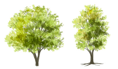Obraz premium Vector watercolor green tree or forest side view isolated on white background for landscape and architecture drawing,elements for environment or and garden,Shrub for section