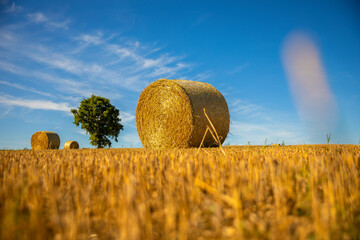 Meule de foin ou de paille dans les champs après la moisson du blé dans la campagne française.