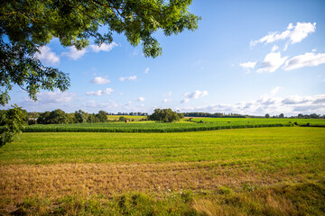 Fototapeta premium Paysage bocager au milieu de la campagne en France au printemps.