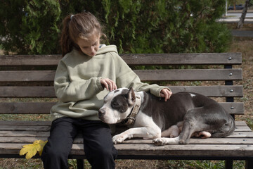 Portrait of an old dog being hugged. A girl and a dog are sitting on a bench. American...