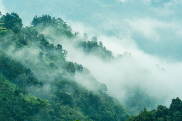 Foggy mountain with tropical rainforest in the morning