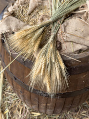 A barrel full of straw and wheat