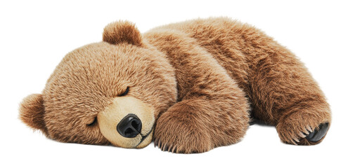 Brown bear sleeping peacefully in a cozy position, cut out - stock png.