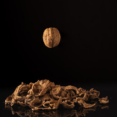 Flying walnut on a black background with walnut shells in frame. Focus stacked image.