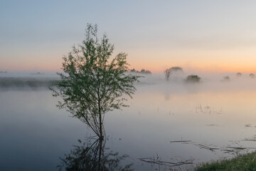 misty morning on the river