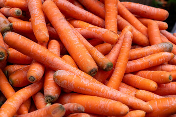 Pile of carrots with some of them being rotten. The pile is full of carrots and some of them are not fresh