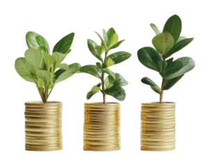 Growth of plants in coin pots symbolizes wealth, cut out - stock png.