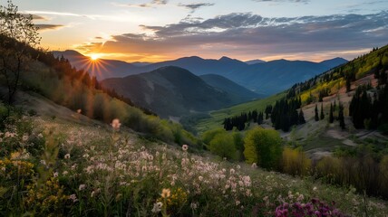 Landscape with mountains and sun