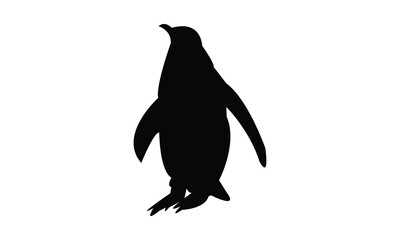 Penguin Bird Silhouette Design  And Vector Illustration. 