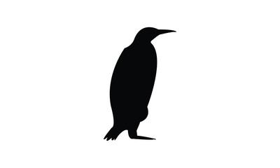 Penguin Bird Silhouette Design  And Vector Illustration. 