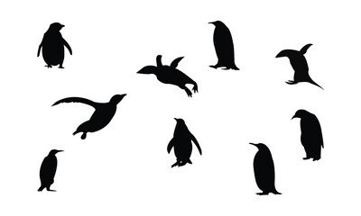 Penguin Bird Silhouette Design  And Vector Illustration. 
