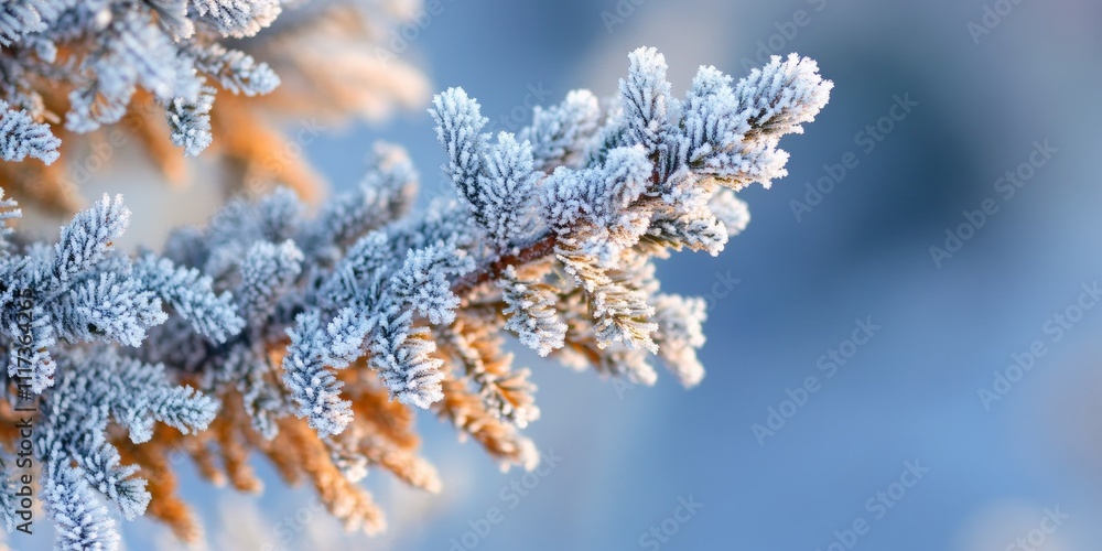 Poster close up of cedar tree branches adorned with frost and snow, showcasing the intricate details of ced