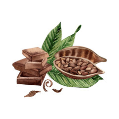 Cocoa beans cut in half with grains inside lies on the leaves of the cocoa tree, next to pieces of chocolate and grated chocolate. The illustration is hand-drawn in watercolor in a botanical style