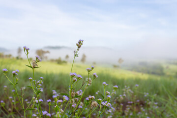 Obraz premium A beautiful view of Khao Kho is a district of Phetchabun province, northern Thailand.