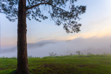 A beautiful view of Khao Kho is a district of Phetchabun province, northern Thailand.