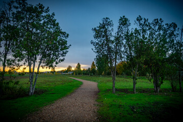 campo estacion de invierno con arboles y paisajes naturales