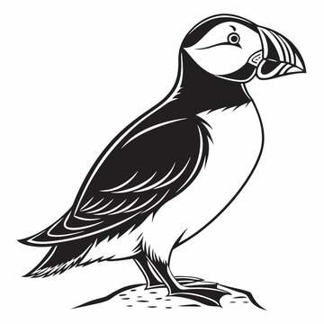 recommend clip art: puffin silhouette on white background, Vector illustration, icon, svg, characters, Holiday t shirt, Hand drawn trendy Vector illustration, puffin silhouette vector illustration white background