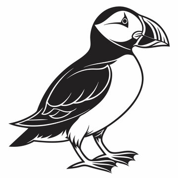 recommend clip art: puffin silhouette on white background, Vector illustration, icon, svg, characters, Holiday t shirt, Hand drawn trendy Vector illustration, puffin silhouette vector illustration white background