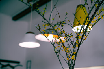 おしゃれな空間　lighting