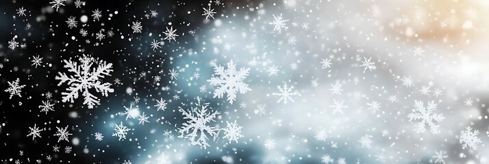 Snowy Forest Winter Landscape Panoramic View
