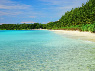 beach with turquoise water