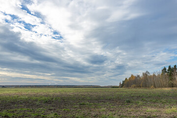 Obraz premium A field with a cloudy sky in the background