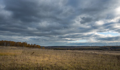 Fototapeta premium A field of tall grass with a cloudy sky in the background