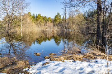 Lake with a reflection of trees in the water