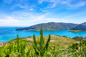 Croisilles Harbour, Marlborough Sounds, South Island, New Zealand, Oceania.