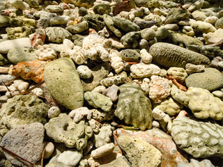 pebbles on the beach