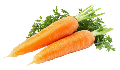 Fresh carrots with green tops ready for harvest, cut out - stock png.