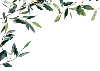 Branch with green leaves on a white background, cut out - stock png.