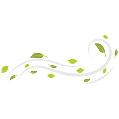 Wind Blowing Leaf