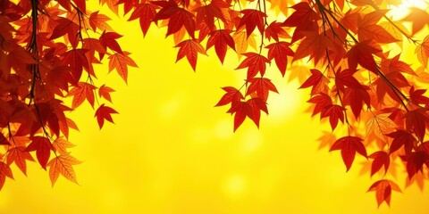 Fototapeta premium A vibrant display of autumn foliage with rich red leaves cascading against a radiant yellow background