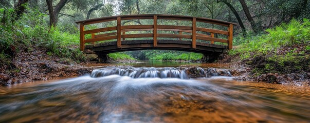 Fototapeta premium A serene wooden bridge over a gentle stream surrounded by lush greenery.